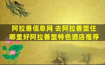 阿拉善信息网 去阿拉善盟住哪里好阿拉善盟特色酒店推荐